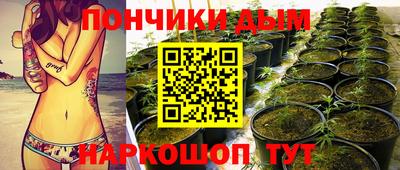 крисы Рязань