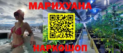 индика Рузаевка