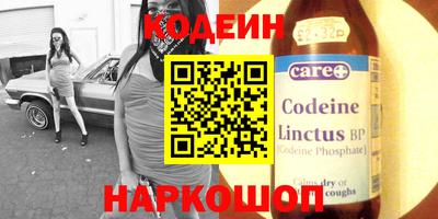 индика Рузаевка